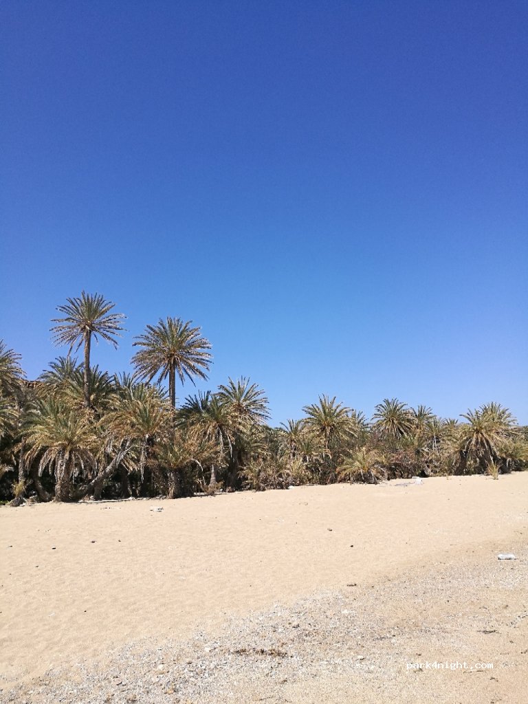 (723 00) Sitia - Eparchiaki Odos Monis Toplous - Vai — foto 3
