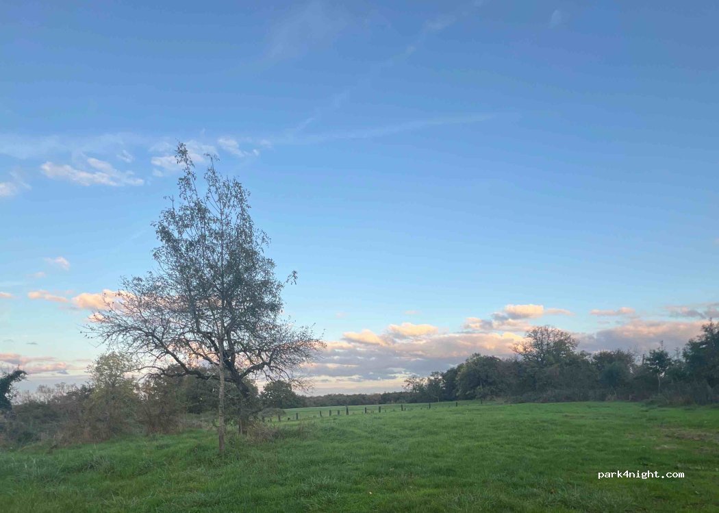(36300) Rosnay - 11 Le Bouchet — foto 2