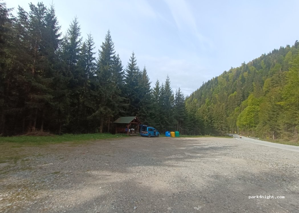 (435200) Borșa - DN18 — foto