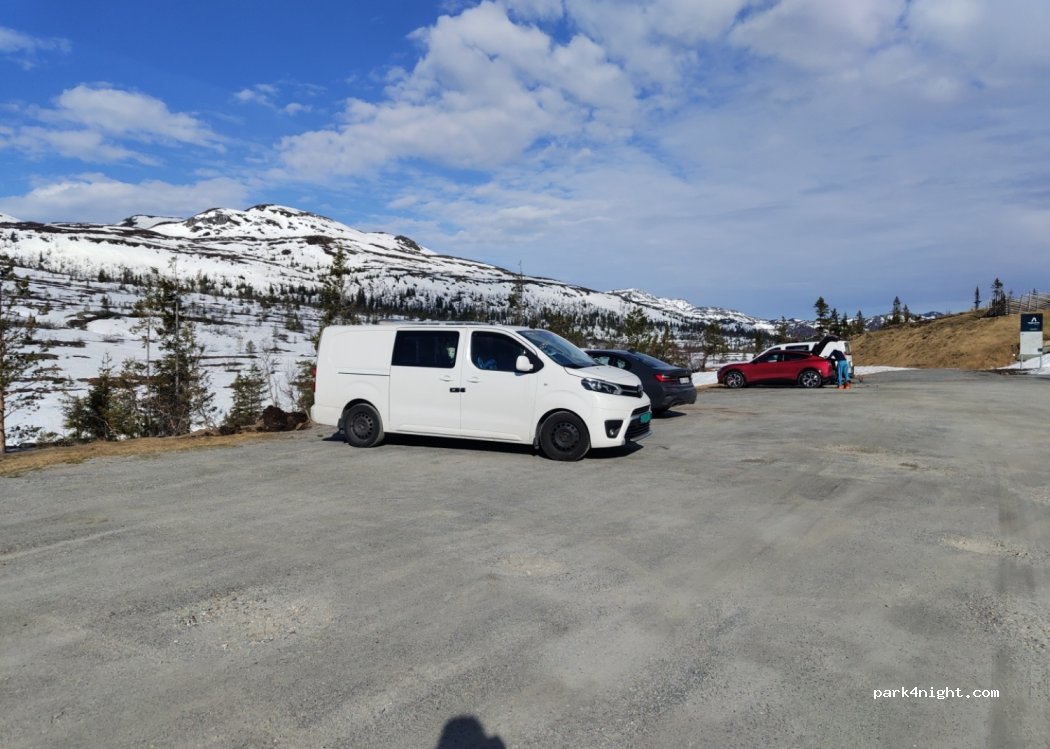 (3539) Flå - 3 Eitjernvegen — foto