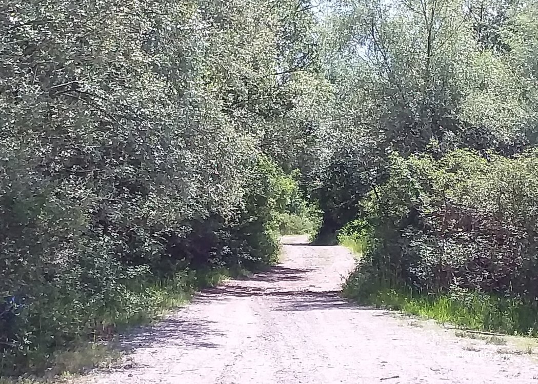 (4306) Flaka - Unnamed Road — foto 3