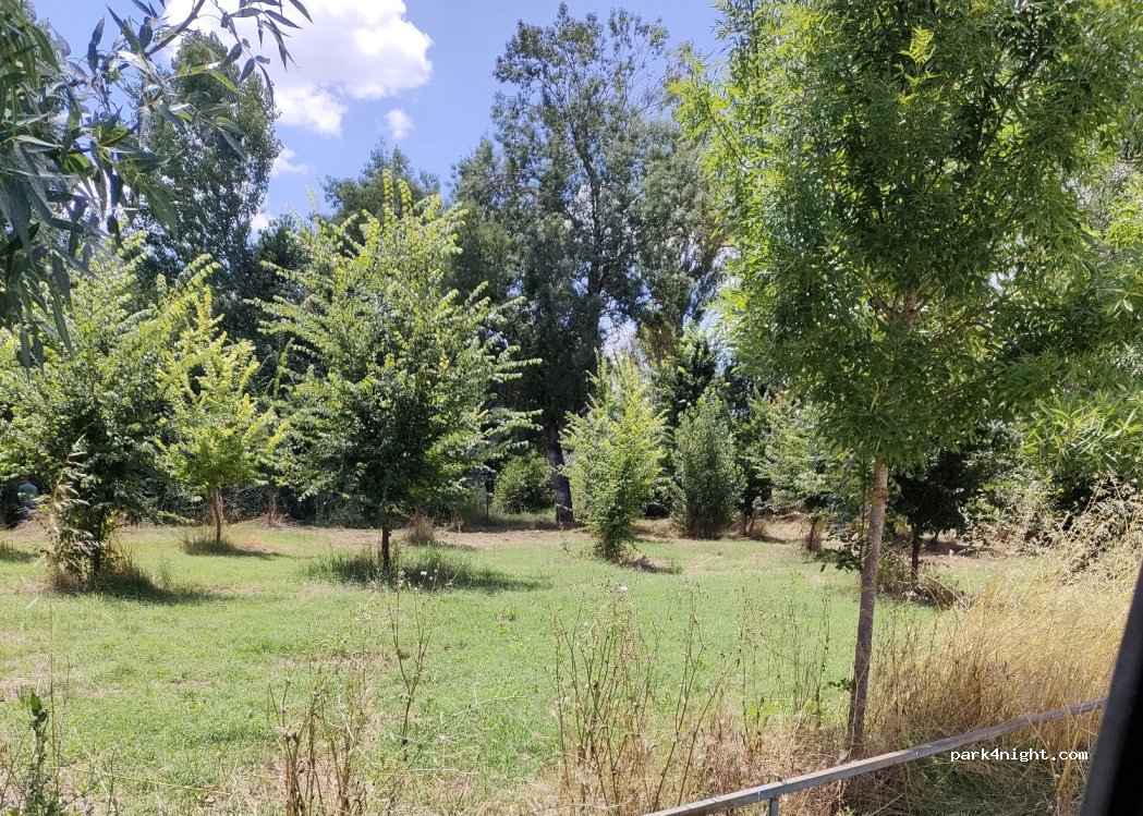 (37500) Ciudad Rodrigo - 1 Vial Camino — foto