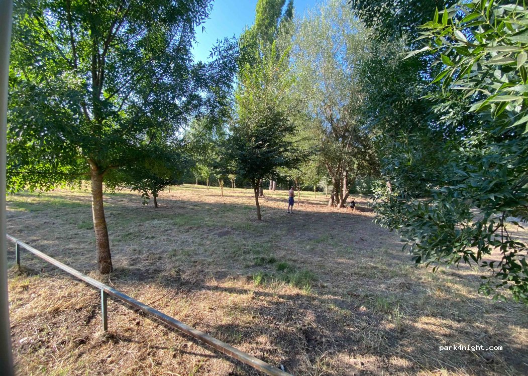 (37500) Ciudad Rodrigo - 1 Vial Camino — foto 3