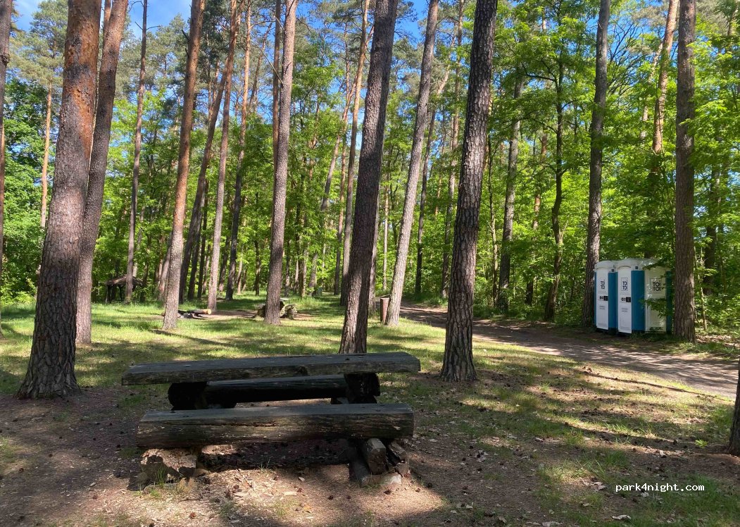 (69) Ośno Lubuskie - Unnamed Road — foto
