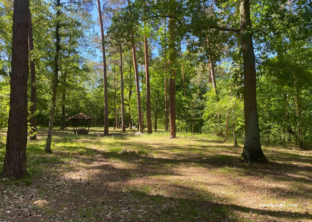 (69) Ośno Lubuskie - Unnamed Road — foto 2