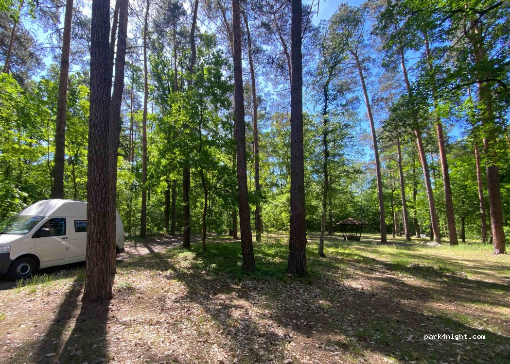 (69) Ośno Lubuskie - Unnamed Road — foto 3
