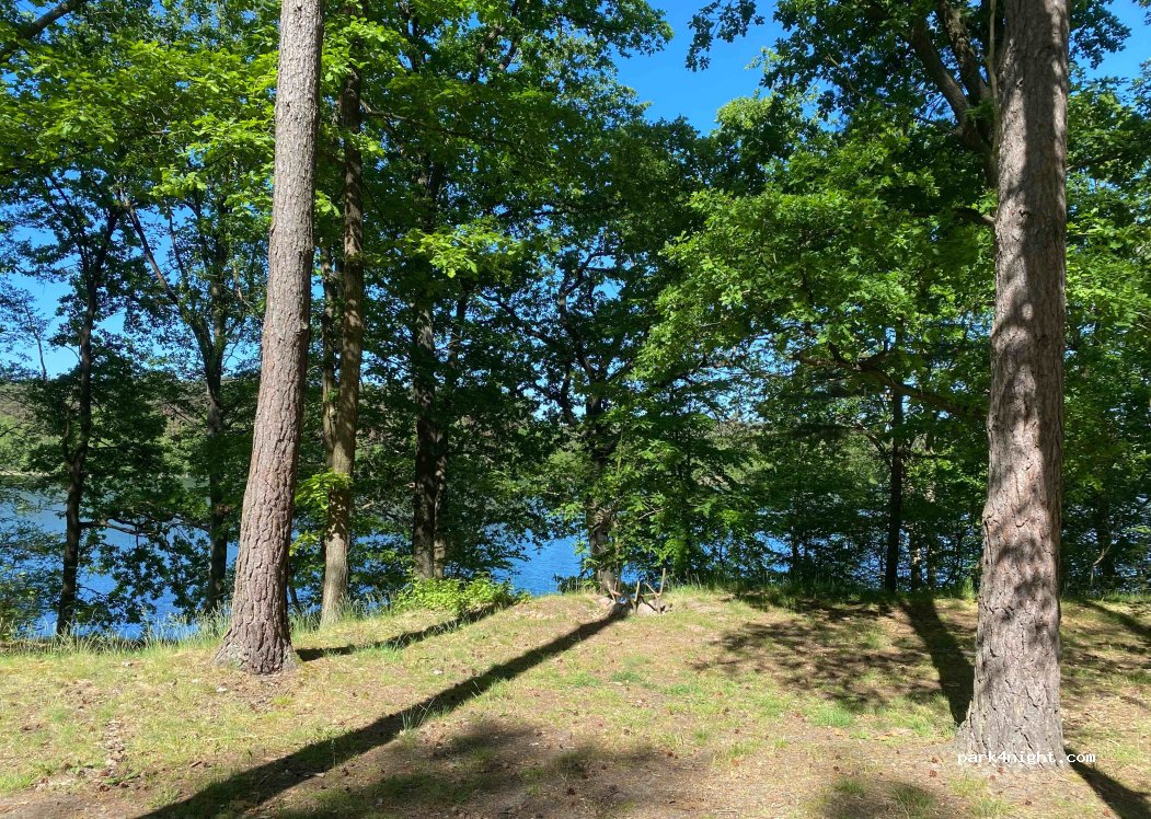 (69) Ośno Lubuskie - Unnamed Road — foto 4