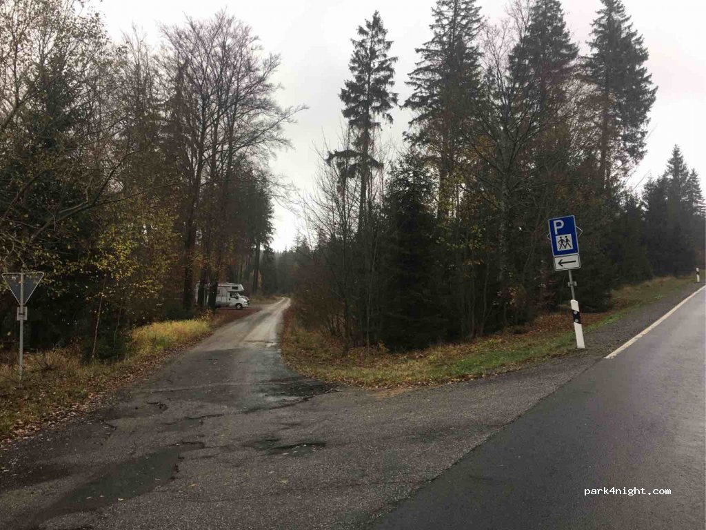 (95493) Bischofsgrüner Forst - BT13 — foto