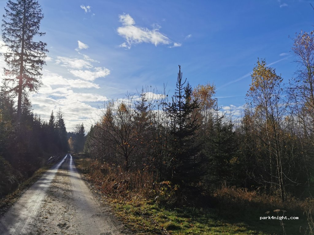 (95493) Bischofsgrüner Forst - BT13 — foto 3