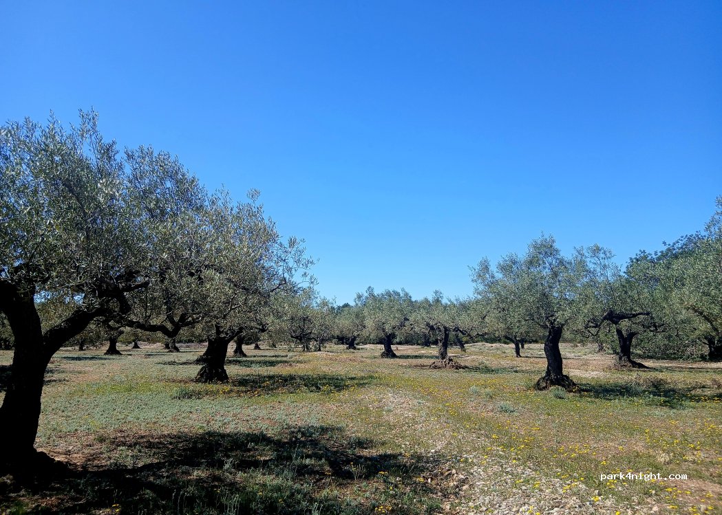 les Tres Cales, — foto 2
