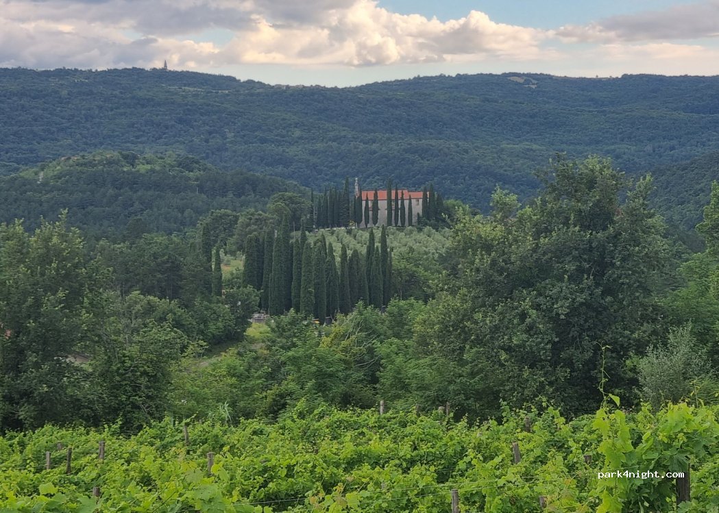 (6273)  - 1b Truške — foto 3
