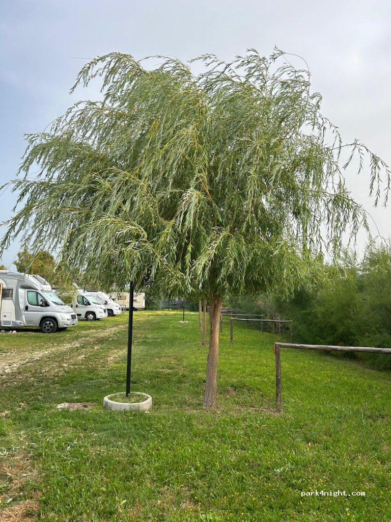 Baia Pizzomunno Sosta Camper Vieste — foto 4