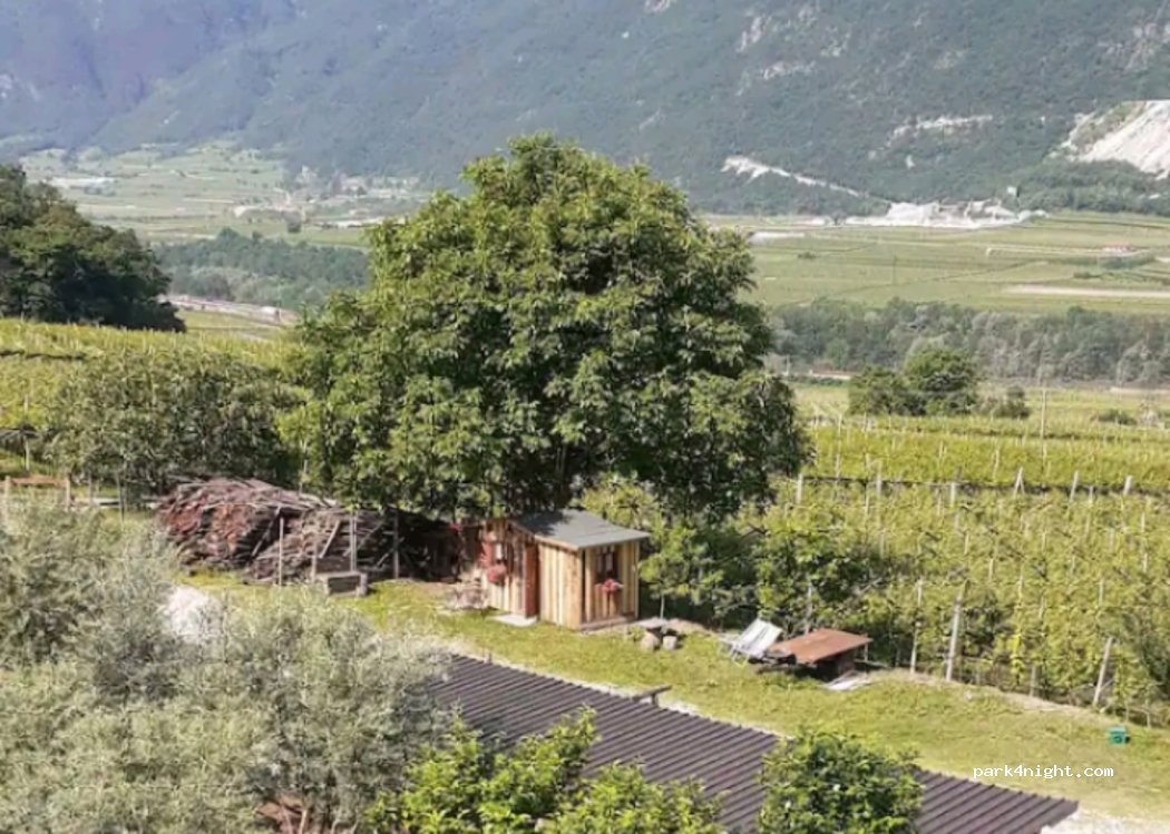 Cà Ulivi b&b — foto
