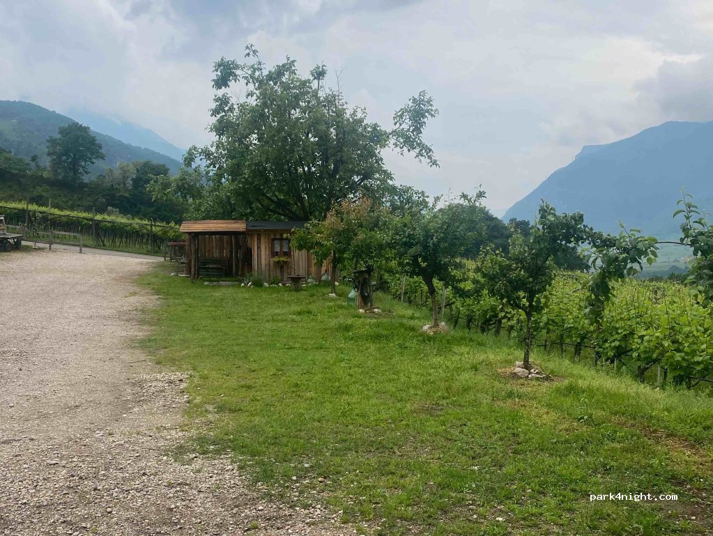 Cà Ulivi b&b — foto 3