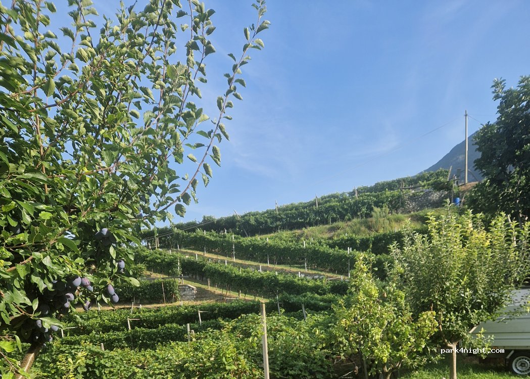 Cà Ulivi b&b — foto 5