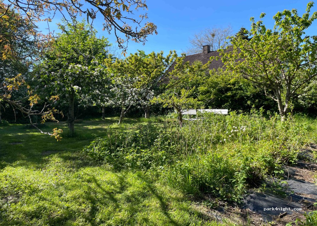 (6200) Aabenraa - 48 Løjt Nørregade — foto 2