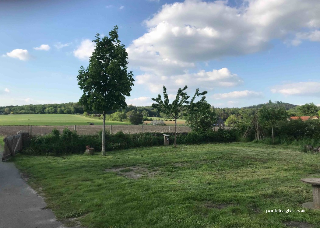 Wildwuchs vom Hof — foto