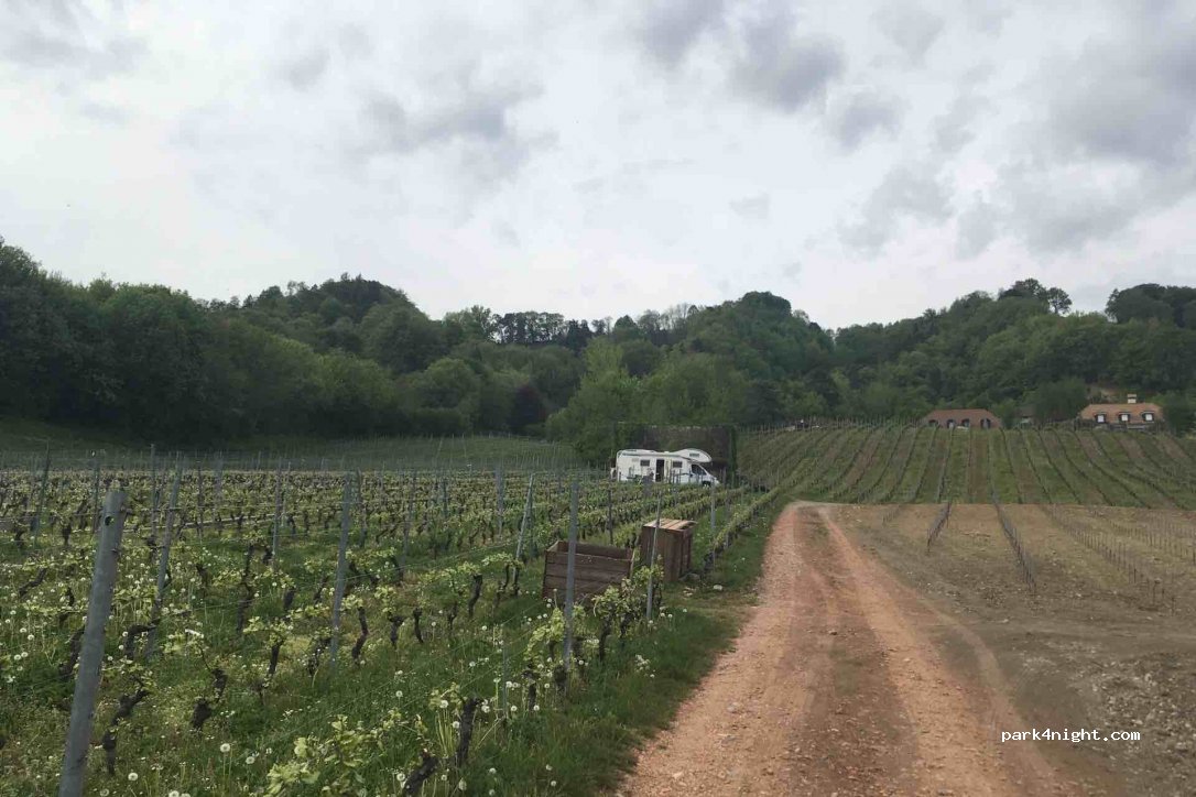 Domaine de Bellevue — foto 2