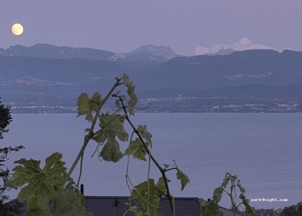 Domaine de Bellevue — foto 5