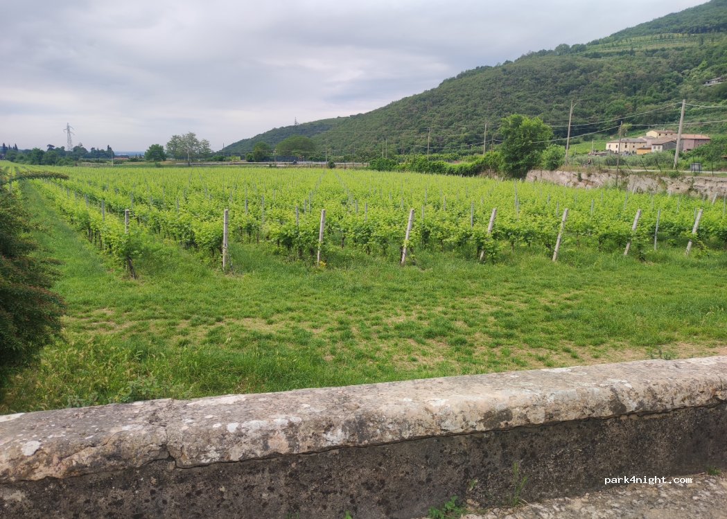 (37141) Fasola-pigozzo - Via Stevani — foto 2