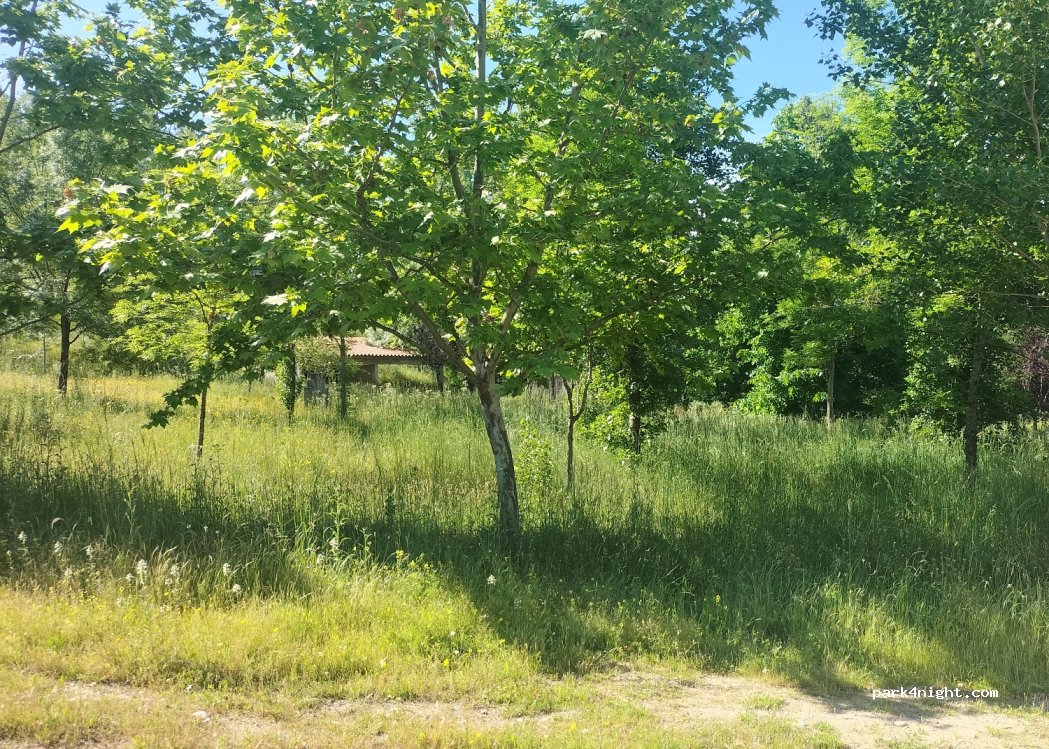 (6250) Belmonte - — foto 2