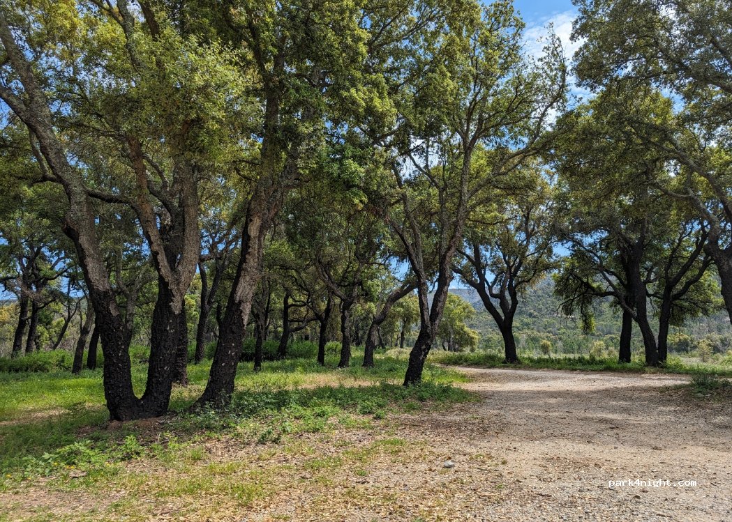 (83340) Le Cannet-des-Maures - — foto