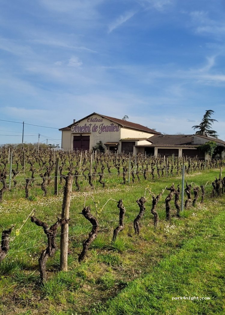 (33490) Saint-André-du-Bois - 5 Jeantieu Ouest — foto