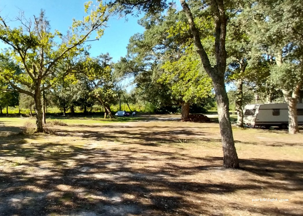 Camping Pellica — foto