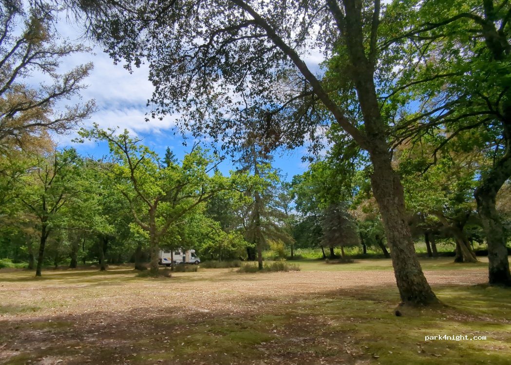 Camping Pellica — foto 2