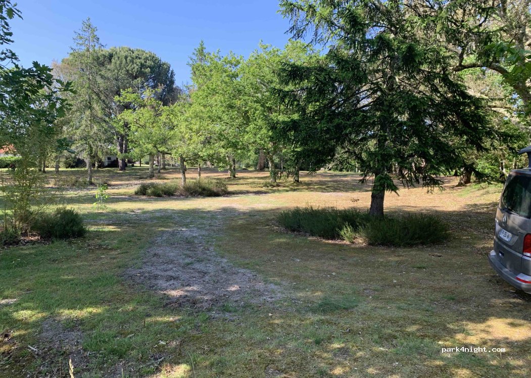Camping Pellica — foto 4