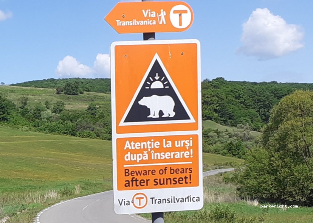 (507035) Bunești - — foto