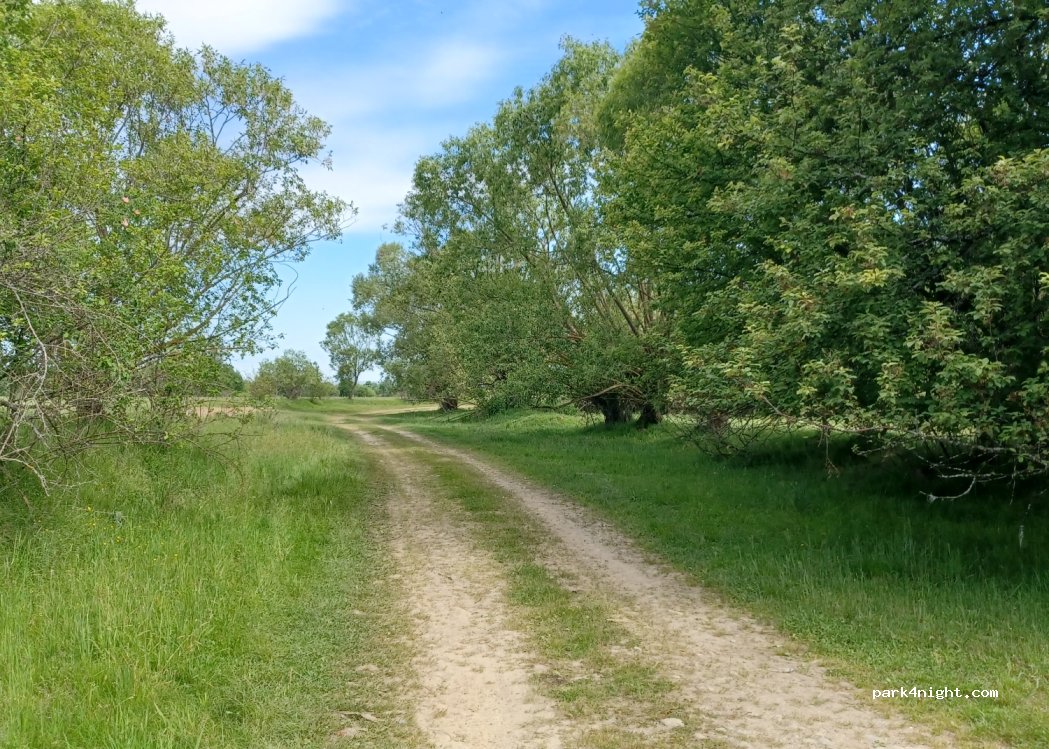 (507181) Berivoi - — foto 2