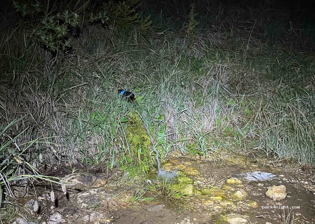 (84220) Pitomine - Unnamed Road — foto