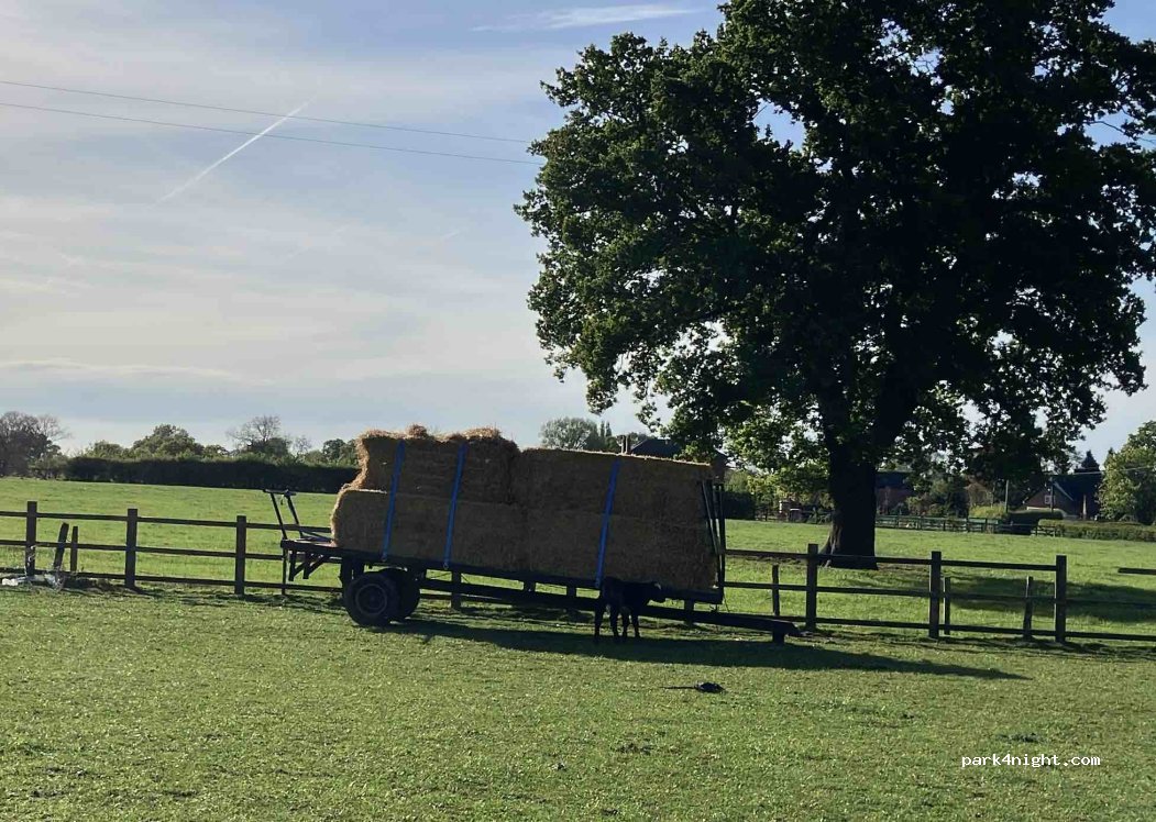 Alec's Farmshop — foto 4