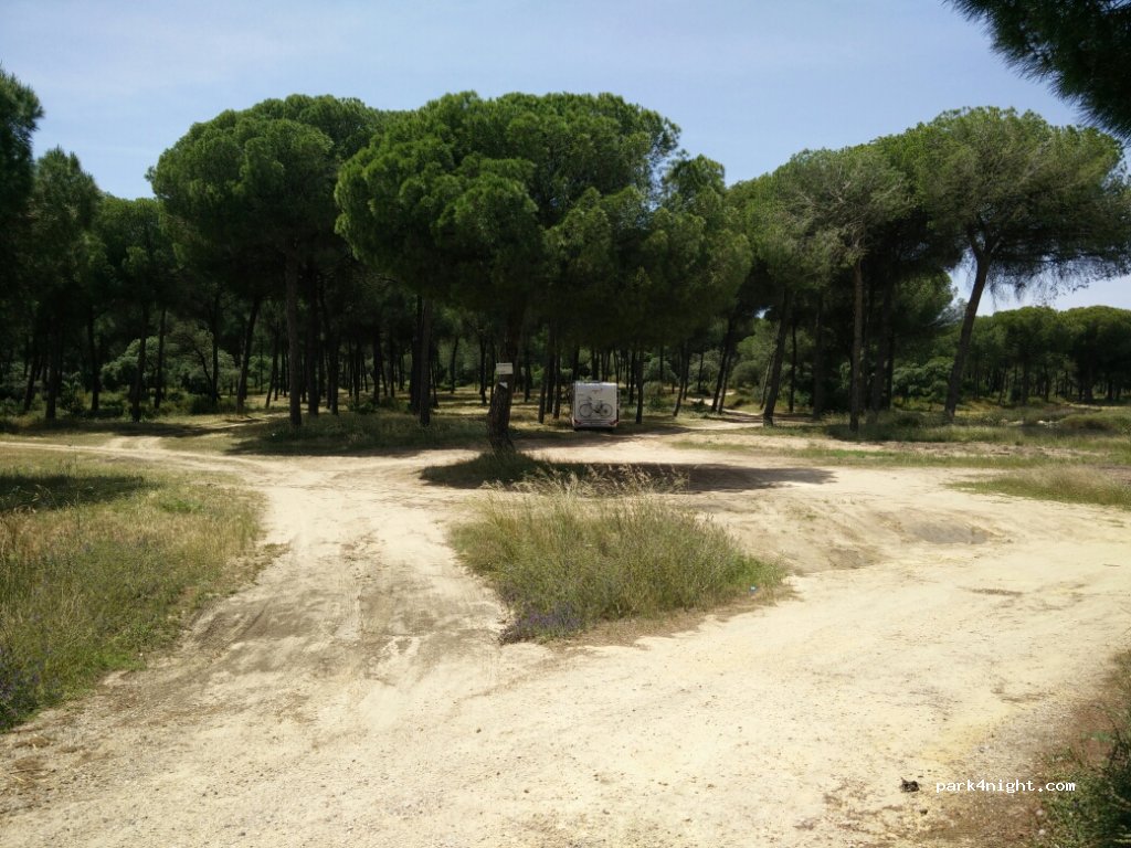 (41850) Aznalcázar - Unnamed Road — foto