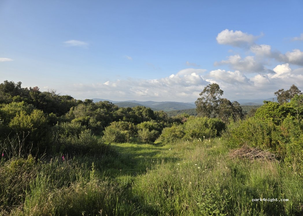 (58025) Monterotondo Marittimo - — foto