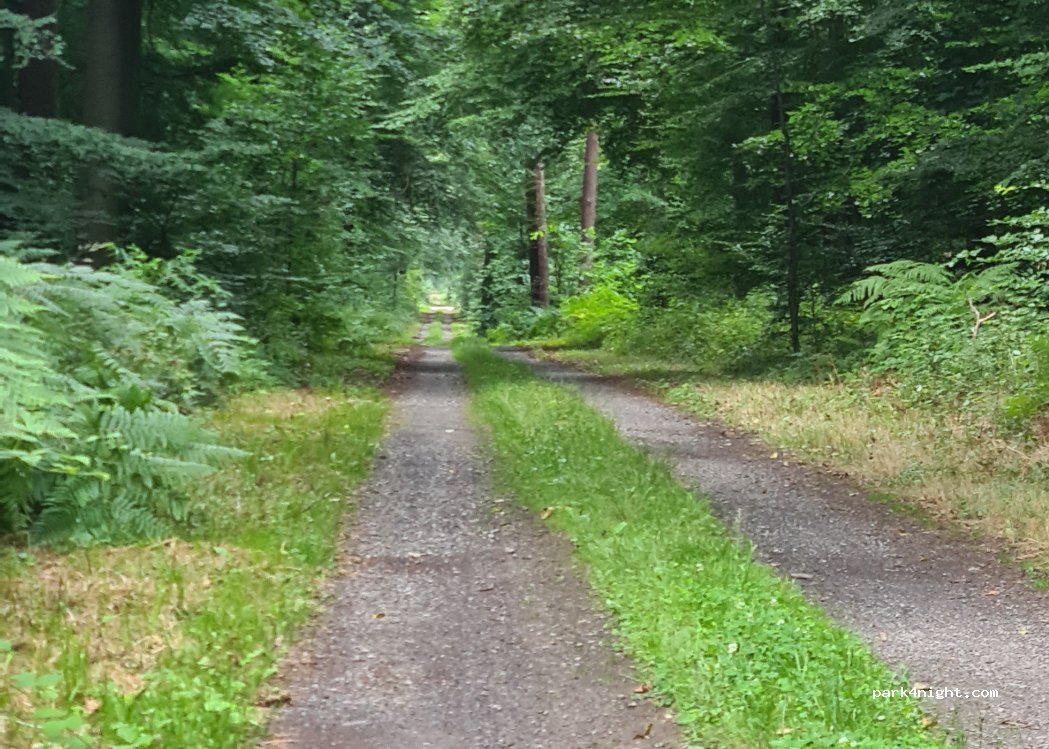 (47475) Kamp-Lintfort - Stappweg — foto 4