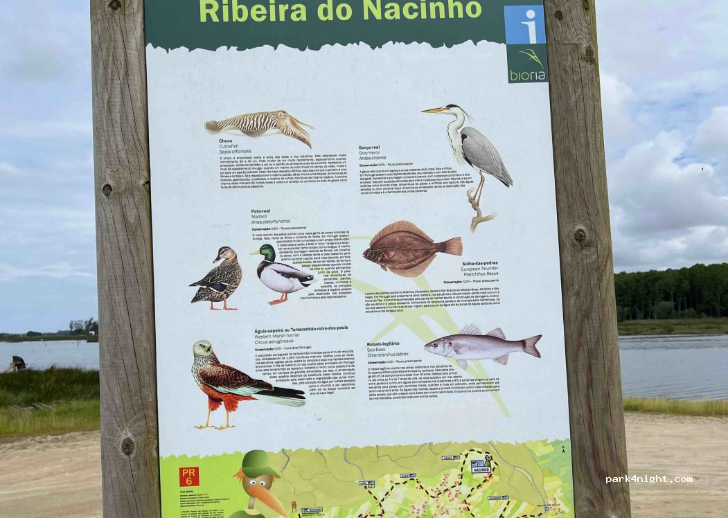 (3860-531) Pardilhó - 85 Rua Pedro Ribalta — foto 3