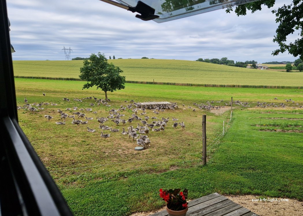 Ferme des Fayards — foto 5