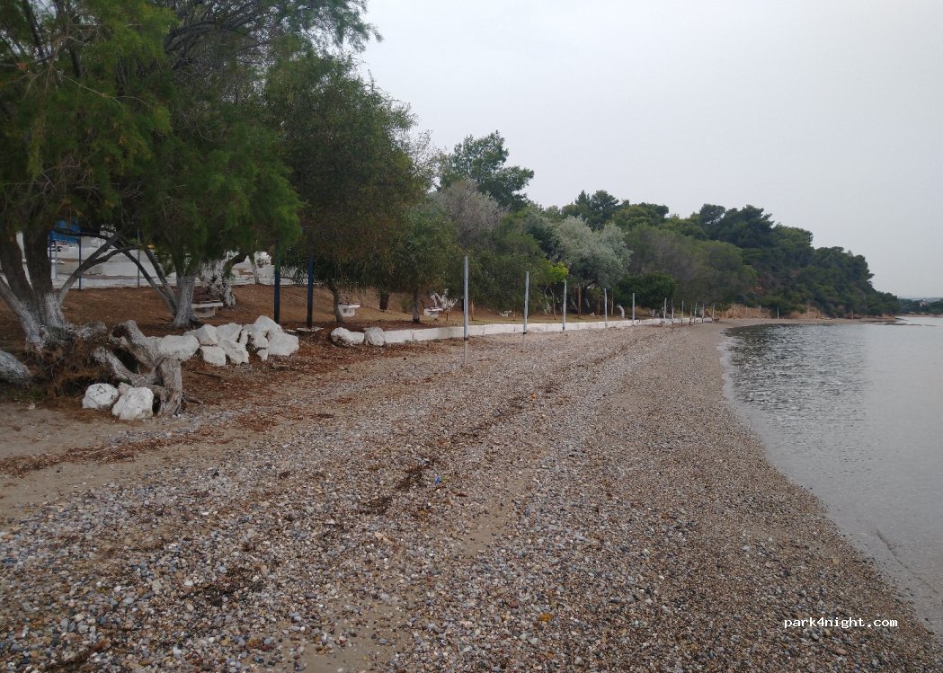 (320 11) Dilesi - 1 Ανοίξεως — foto 3