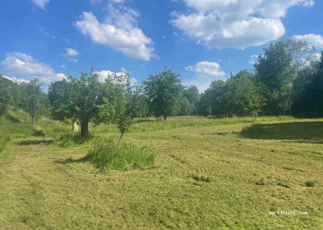 (33181) Bad Wünnenberg - 11 Karbach — foto 3