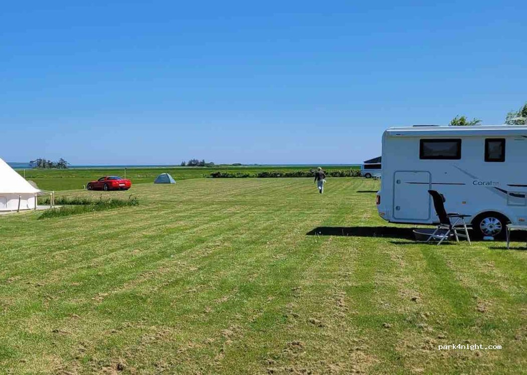 Hjarnø Camping — foto