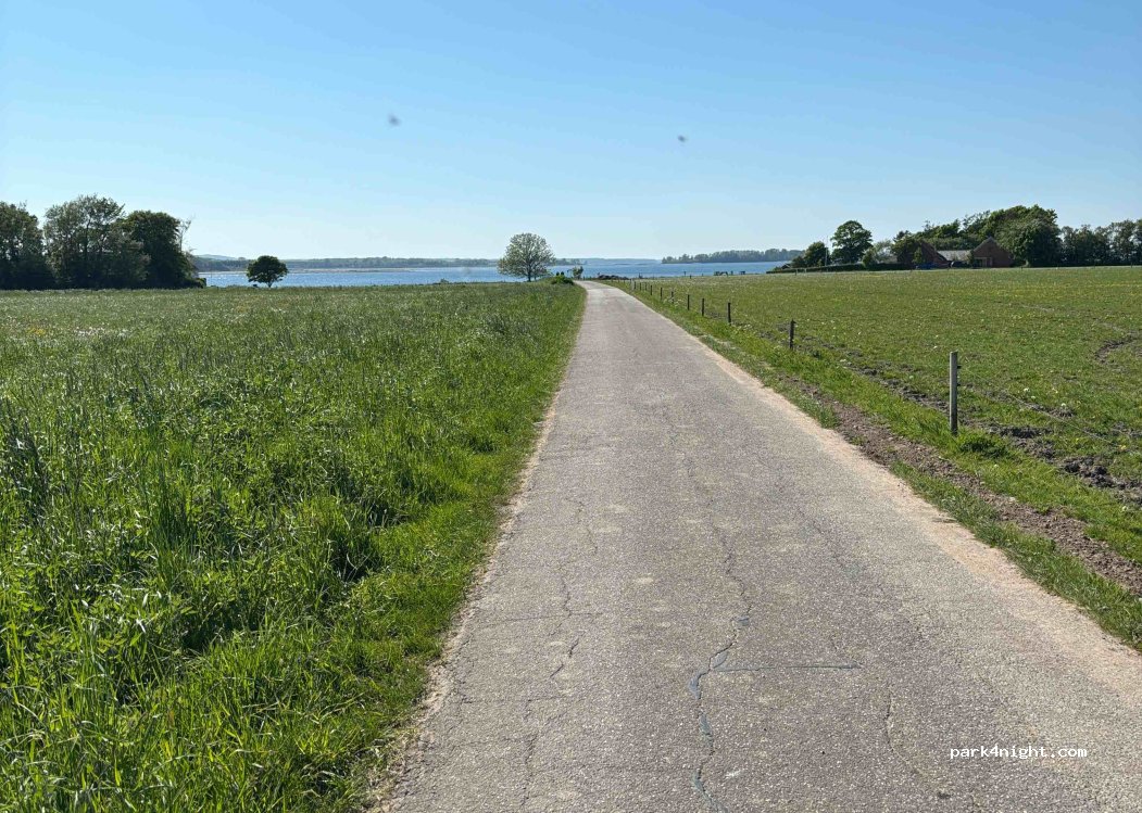 Hjarnø Camping — foto 3