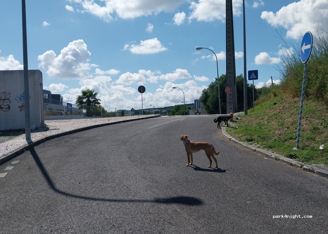 (2790) Carnaxide - Unnamed Road — foto