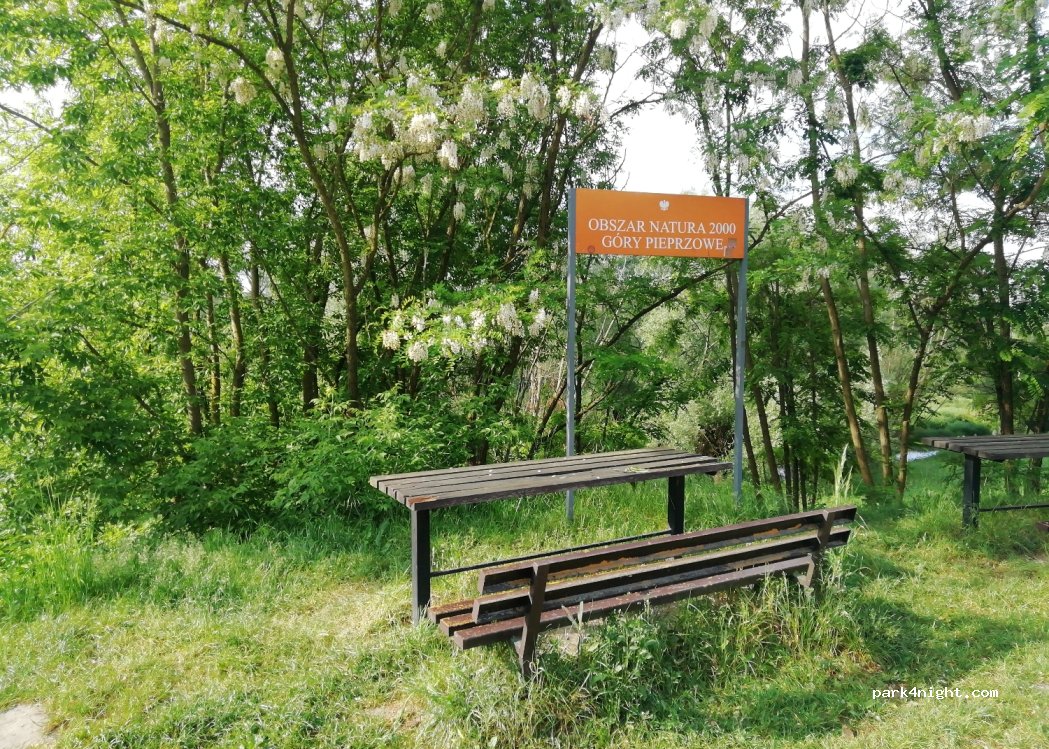 (27-600) Sandomierz - 145 Błonie — foto 2