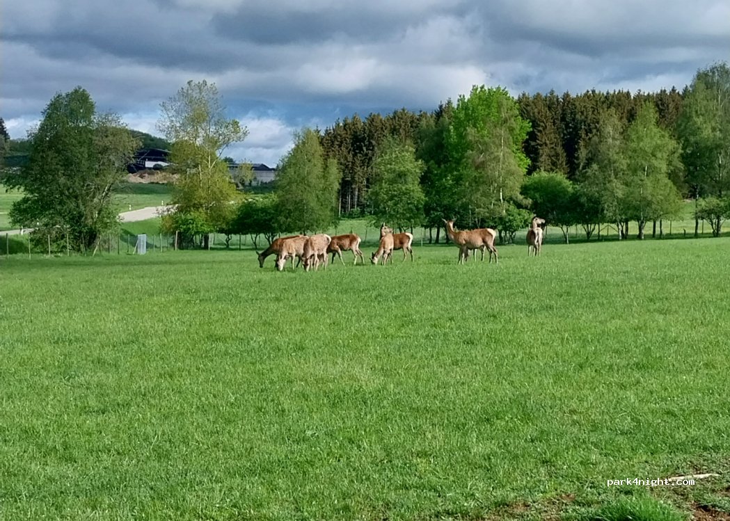 (72469) Meßstetten - Geißbühlstraße — foto
