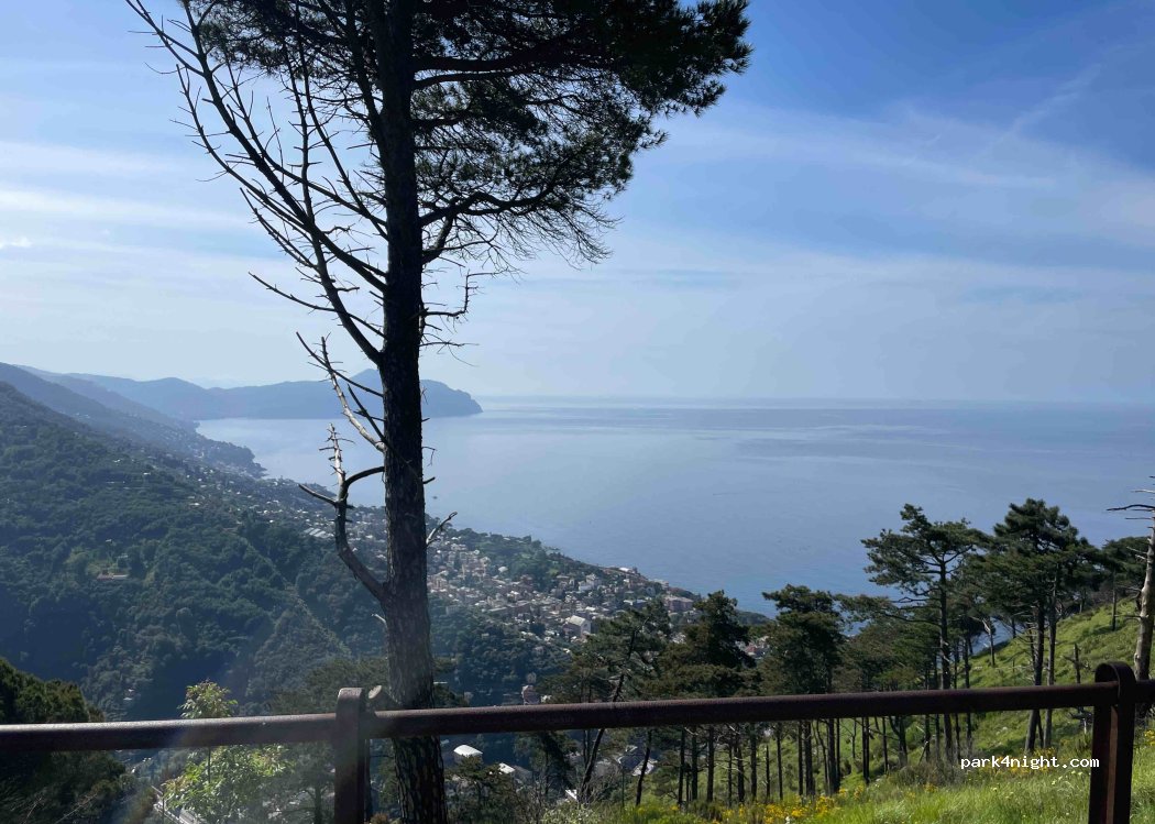 (16133) Genova - 111 Via Lanfranco Alberico — foto 3