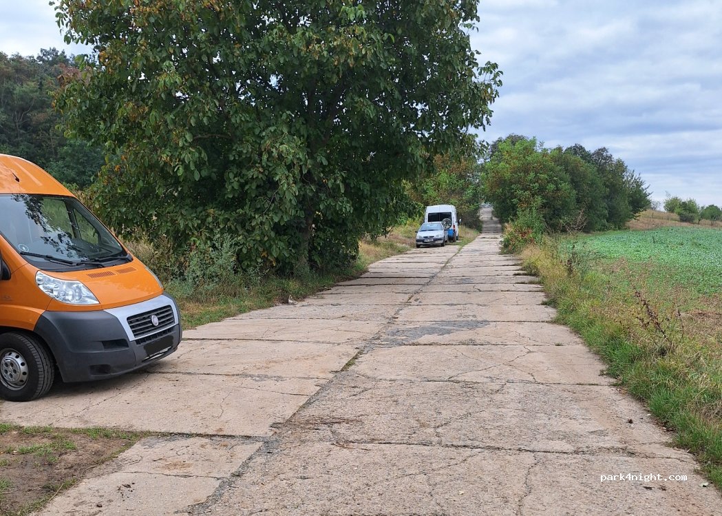 (612 00) Brno-Medlánky - 139 Purkyňova — foto 2