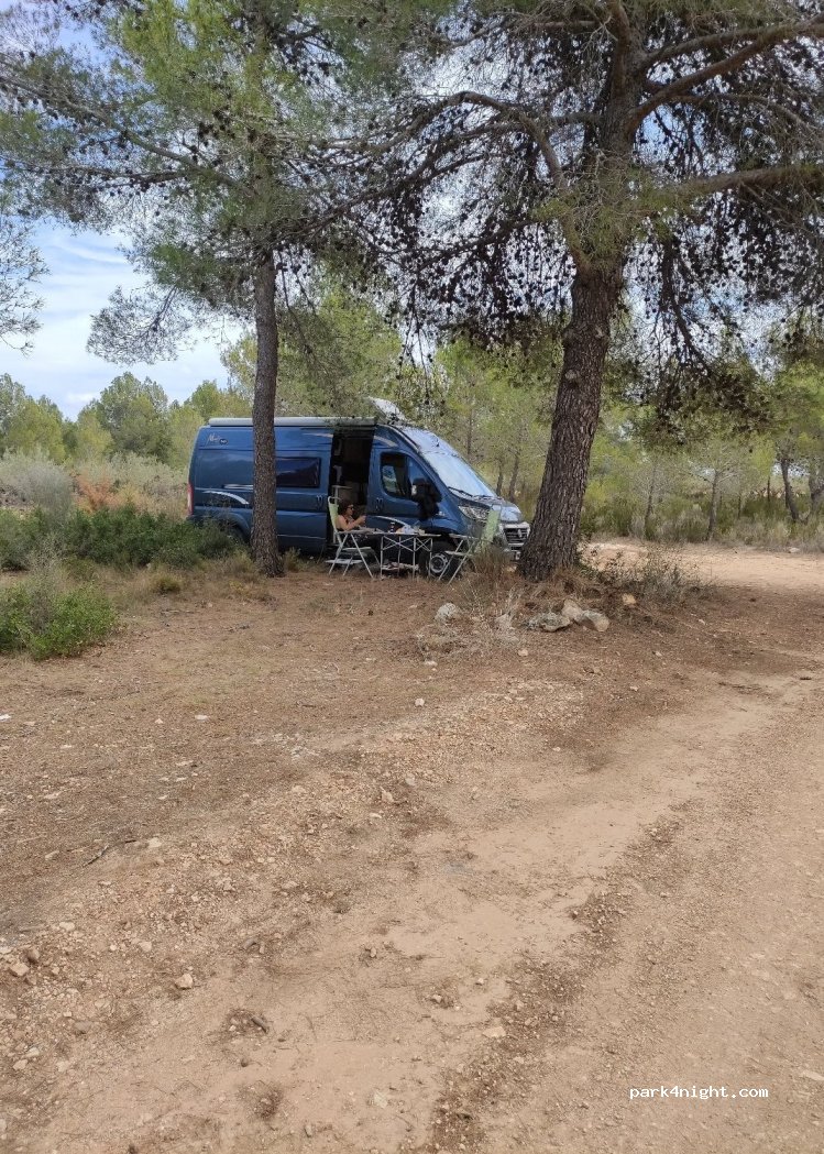 (46823) Navarrés - — foto