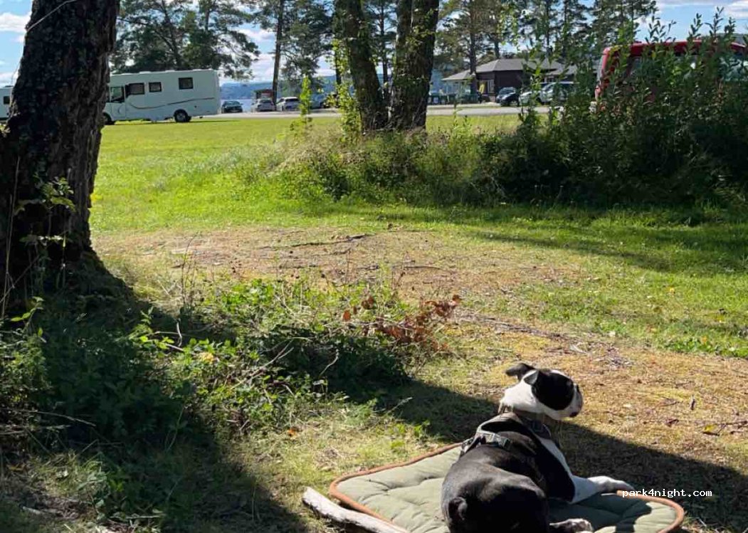(3519) Hønefoss - 200 Røsholmstranda — foto 3